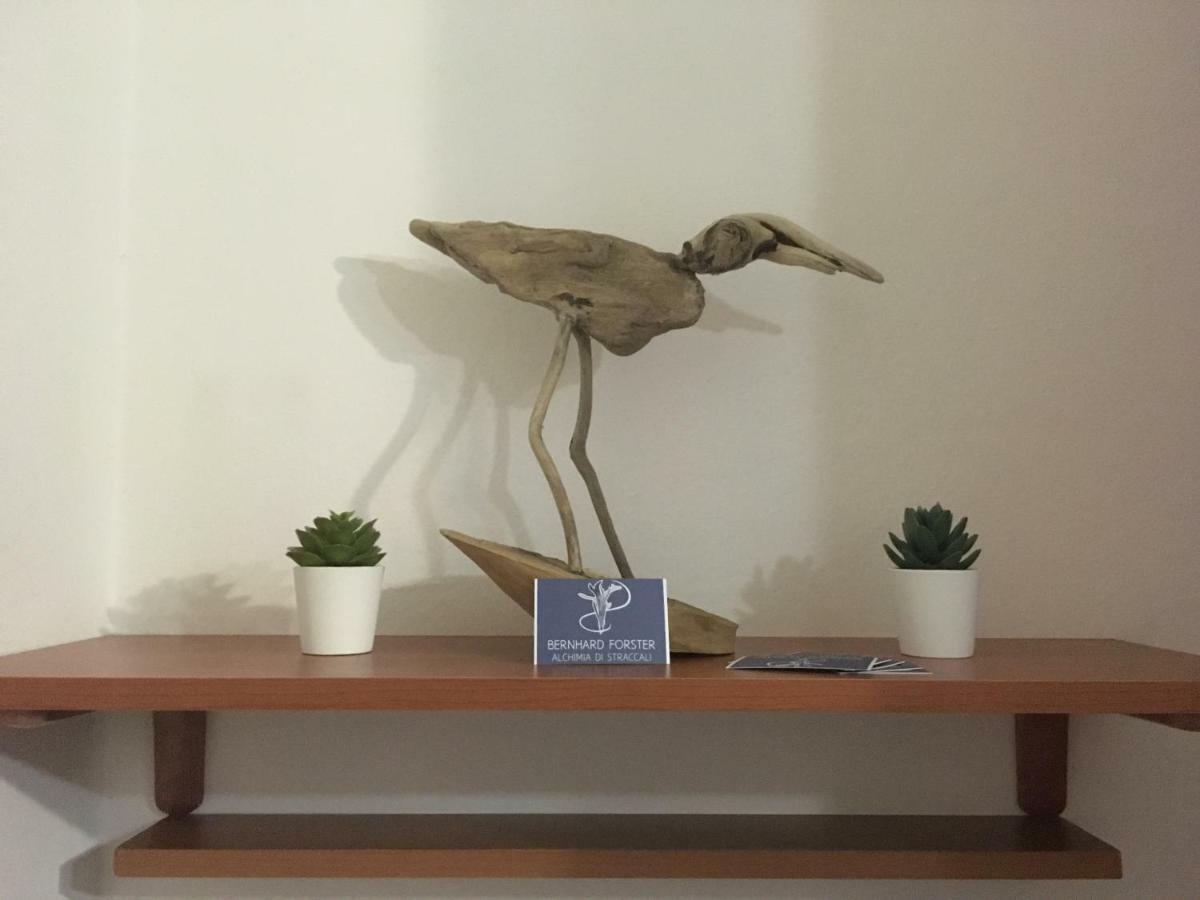Il Mio Piccolo Angolo Di Mare Daire Viareggio Dış mekan fotoğraf
